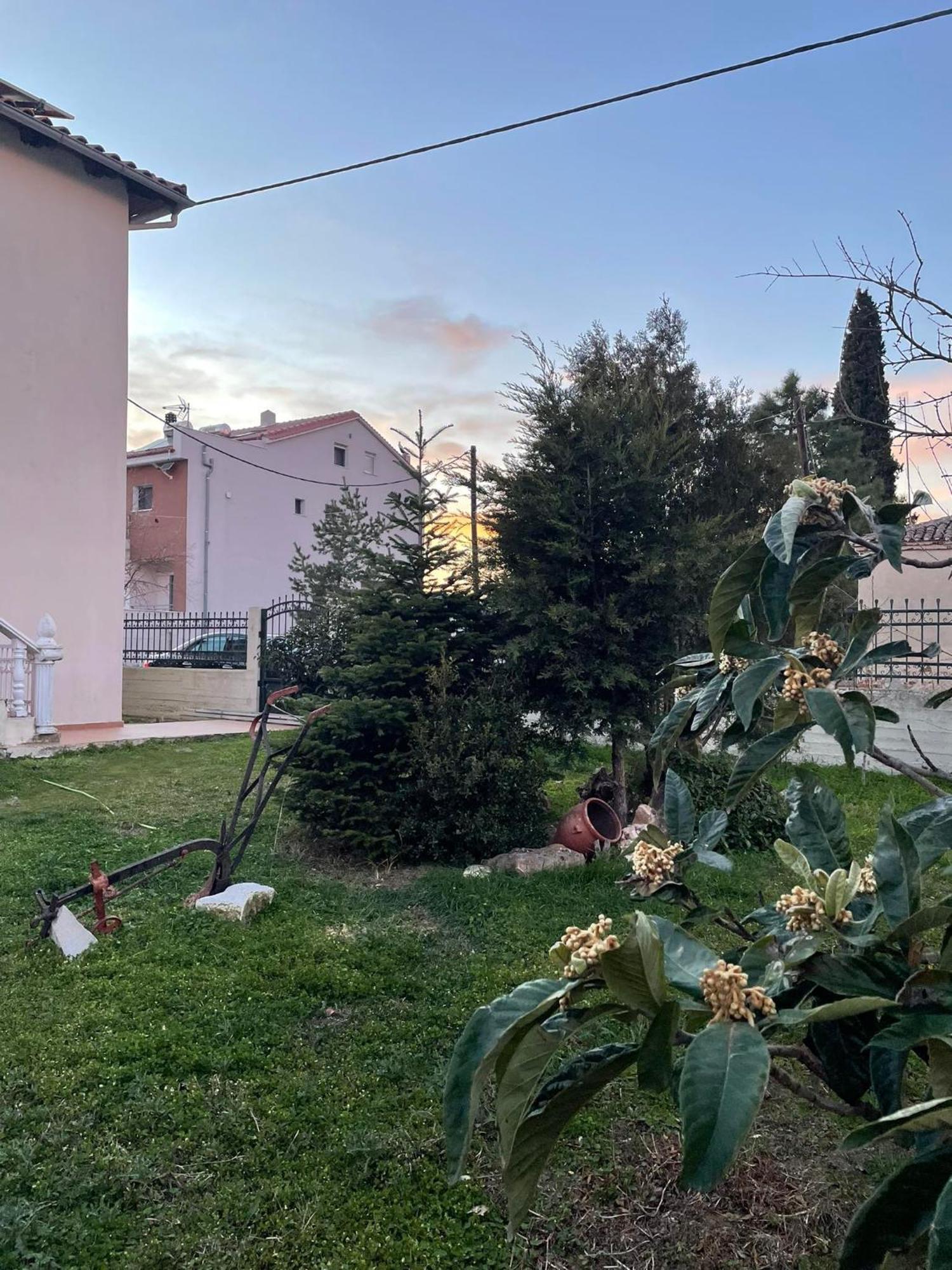 克桑西Athina'S House公寓 外观 照片
